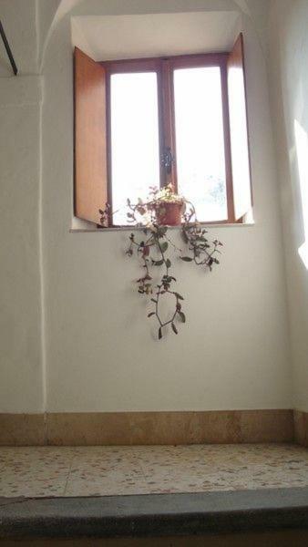 Ferienwohnung Casa Maria E Casa Cristina Orvieto Exterior foto